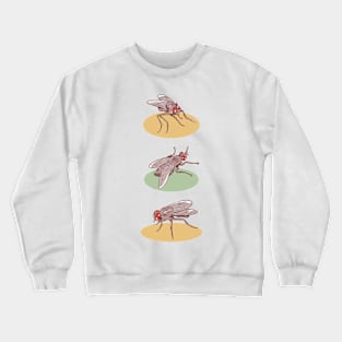 Fly pattern Crewneck Sweatshirt